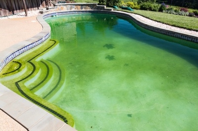 pool maintenance bostwick ga